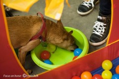 2016-H002-024GBB
