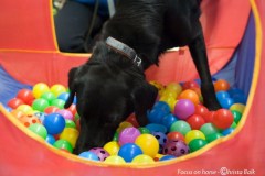 2016-H002-056GBB
