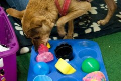 2016-H002-059GBB