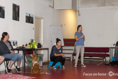 Workshop TTouch-hersenwerk