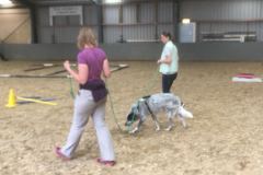 IMG-20180610-WA0073