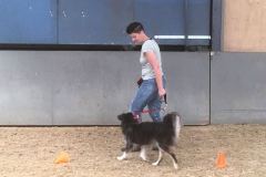 IMG-20180610-WA0104