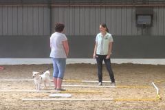 IMG-20180610-WA0105