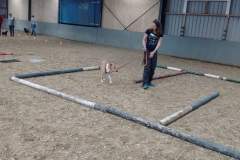 received_926785487499375