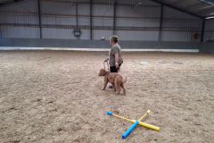 20190519_140324