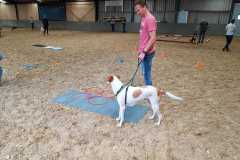 IMG-20190518-WA0004