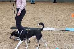 IMG-20190518-WA0007