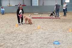 IMG-20190518-WA0009