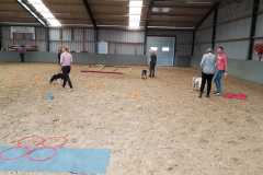 IMG-20190518-WA0010