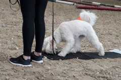 IMG-20190518-WA0034