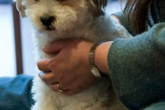 2015-002-101-Bo