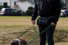 2015-002-150-Coco
