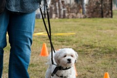 2015-002-162-Bo