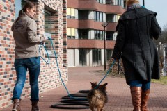 2015-002-273-Spijker