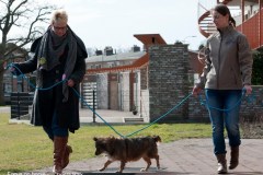 2015-002-300-gbb-Spijker-Beeline