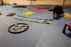 44611172_2175160199181016_2595761943167893504_o