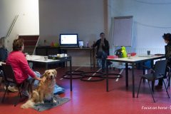 GoedBeterBeest - Tellington TTouch Apeldoorn